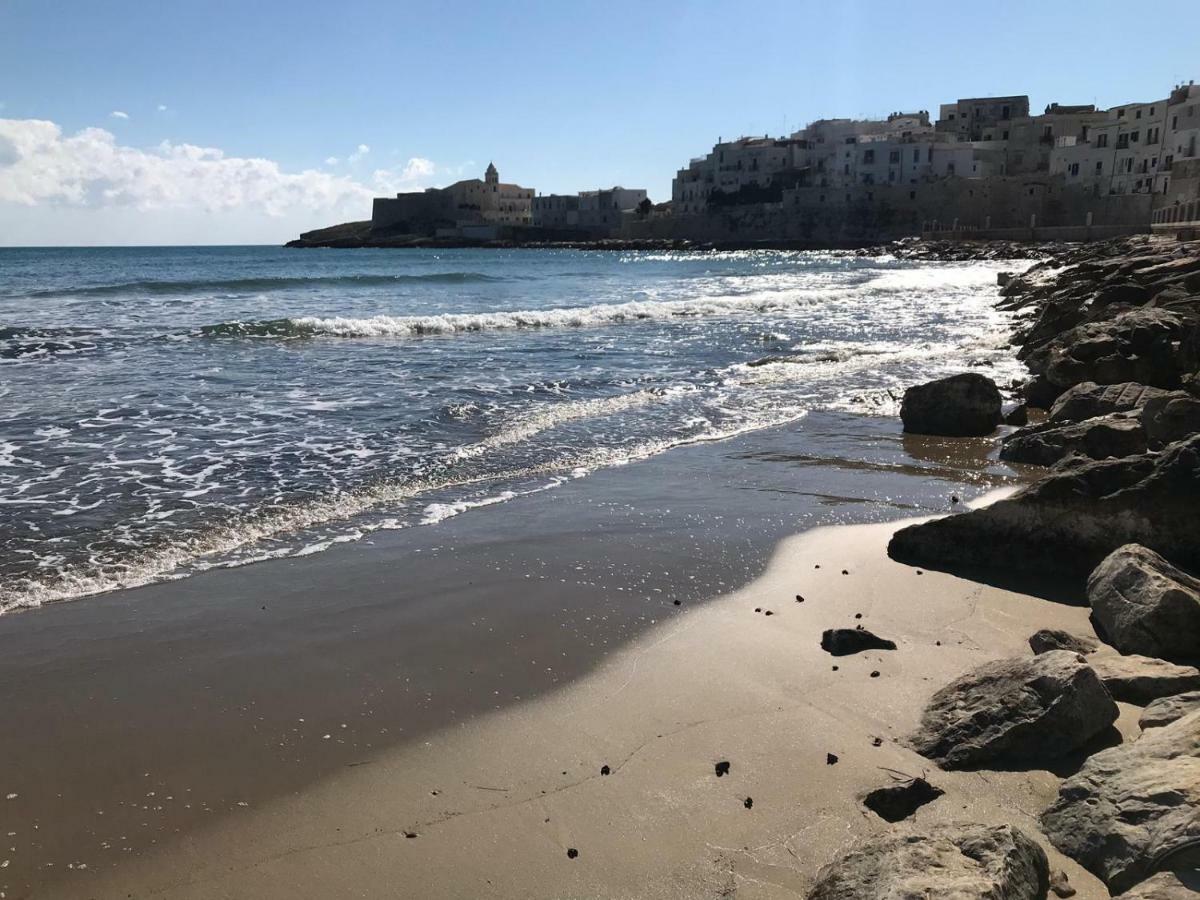 Ferienwohnung Dimora Nel Borgo Vieste Exterior foto